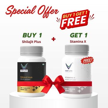 Picture of Shilajit Plus + Stamina X